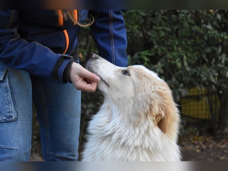 Jury - Powerpaket mit ganz viel Herz im Gepäck