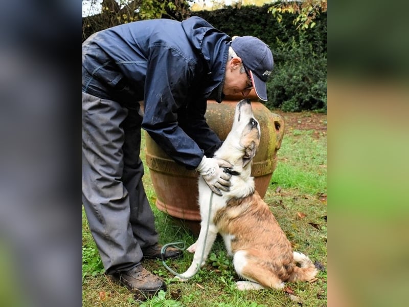 Milde - Ein Flüstern, das sagt: "Du bist sicher."