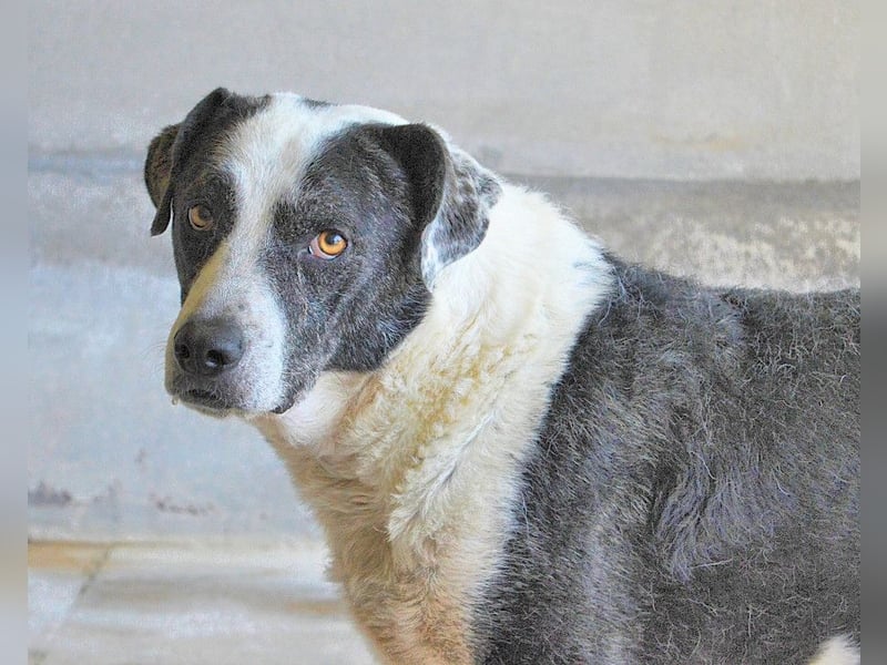 Oldrich - NIE ist einfach zu lang