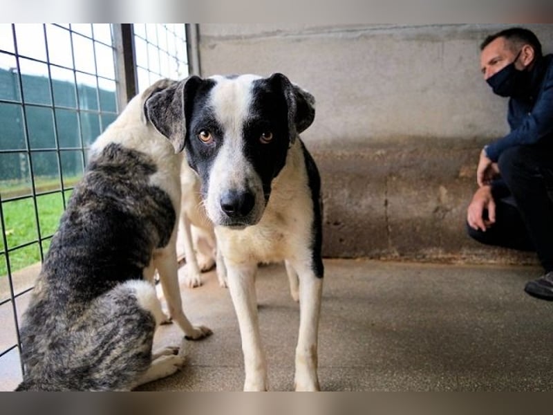 Oldrich - NIE ist einfach zu lang