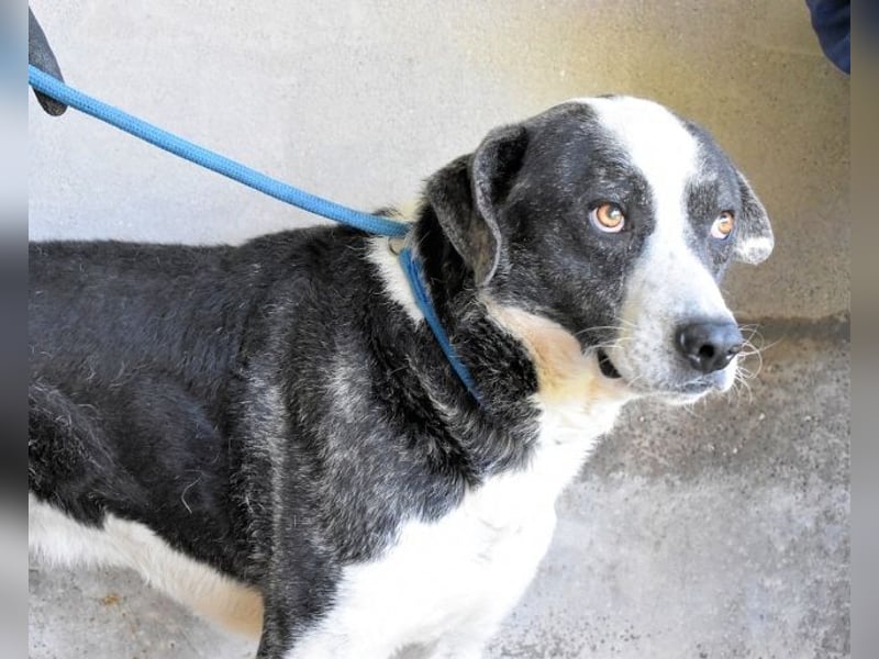 Oldrich - NIE ist einfach zu lang