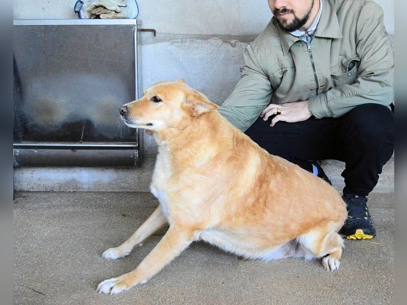 Ariana - lange sitzen sie schon da und haben es schwer