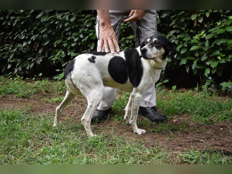 Ericka - NOTFALL - Wie viele Leben brauchst du?