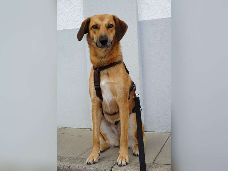 Rihanna - Es hat ihr nichts genützt