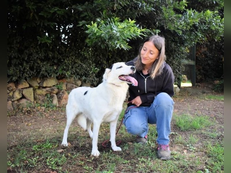 Pattie - Pattie im Vergessen