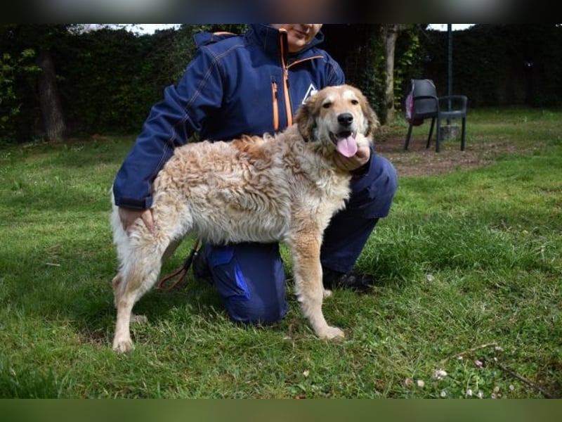 Ligorio und seine Geschwister sind gewachsen