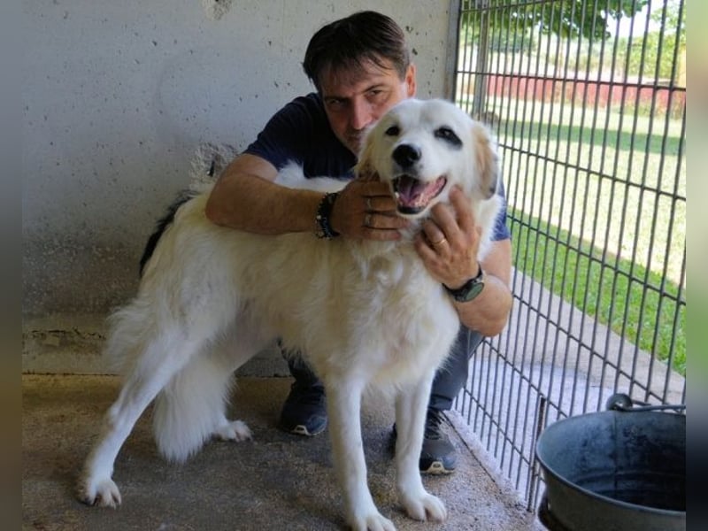 Peeke - Es ist höchste Zeit! Peeke - Es ist höchste Zeit!