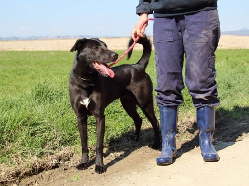 Clodette - Persönlichkeit sucht Führungsqualität!