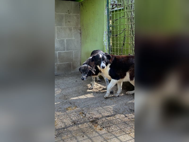 Cambiamento - lasst uns sein Leben verändern