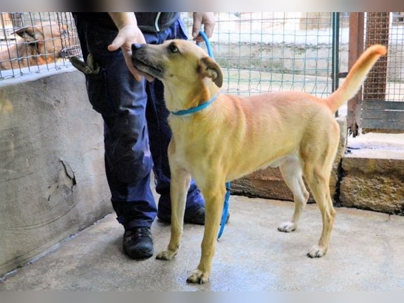 Zaccheo - ist im besten Alter