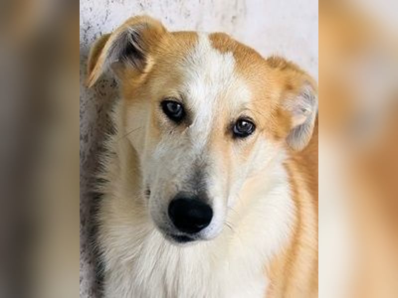 Liuba - sucht ihren Platz im Leben Liuba - sucht ihren Platz im Leben