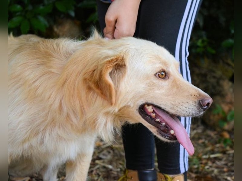 Rodman - läuft sich die Seele wund Rodman - läuft sich die Seele wund