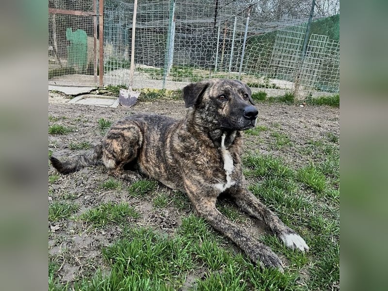 Ludwig - Nur Mädchen erlaubt