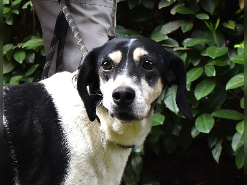 Ericka - NOTFALL - Wie viele Leben brauchst du?