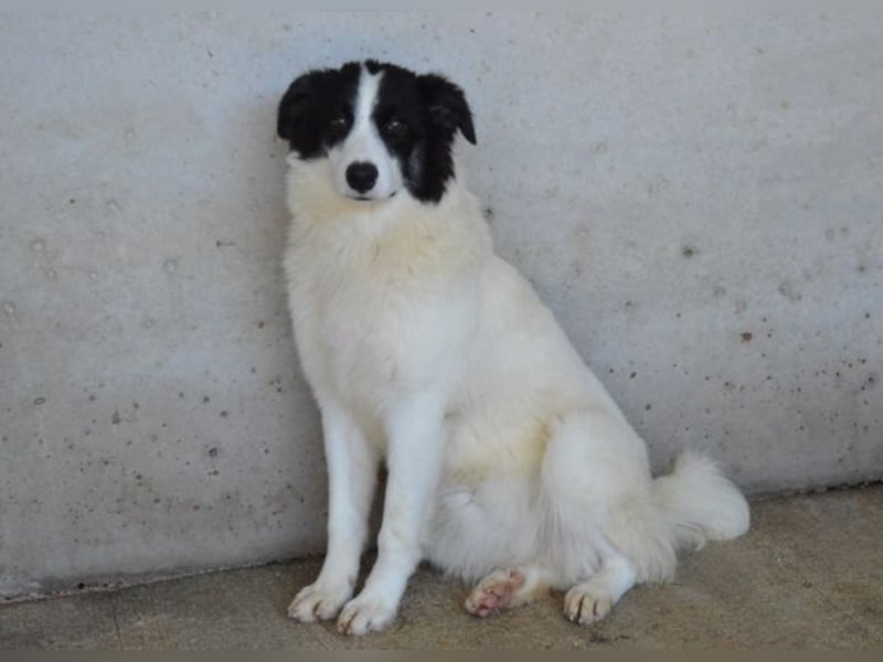 Ghazala - Noch ein bisschen scheu, aber voller Neugier aufs Leben