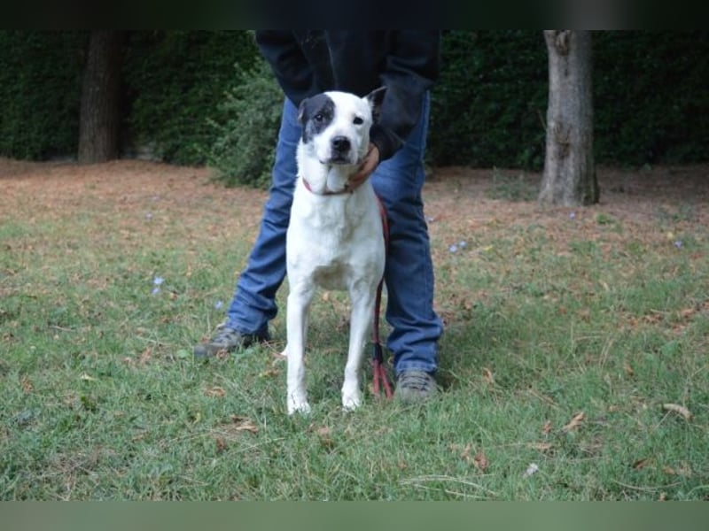 Camellia - sucht ihr Zuhause Camellia - sucht ihr Zuhause