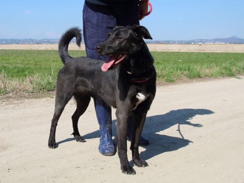 Clodette - Persönlichkeit sucht Führungsqualität!