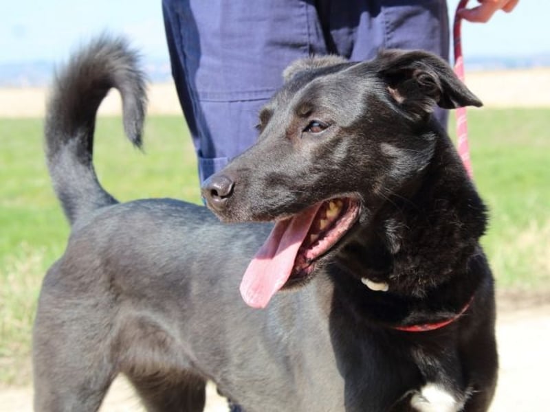 Clodette - Persönlichkeit sucht Führungsqualität!