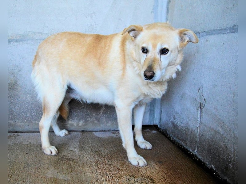 Addison - lange sitzen sie schon da und haben es schwer
