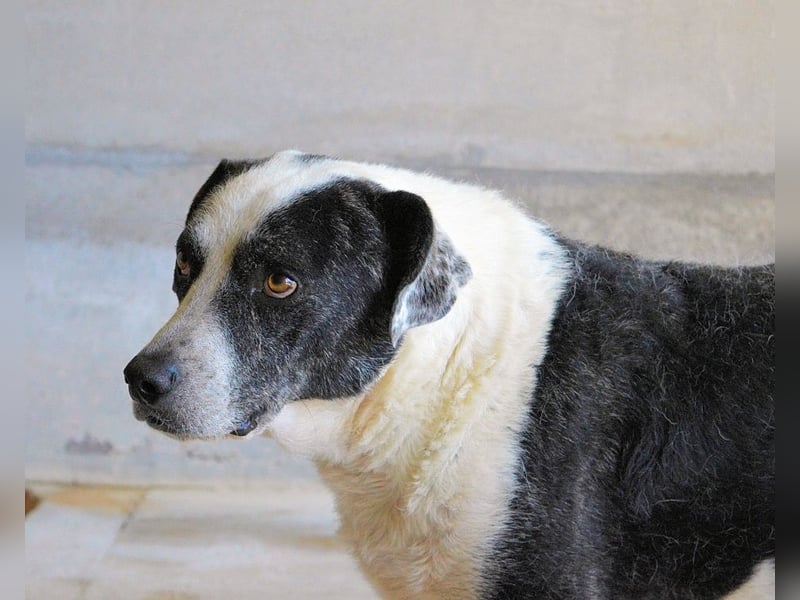 Oldrich - NIE ist einfach zu lang