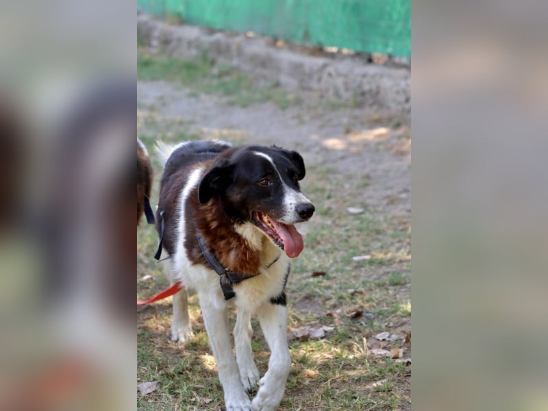 Coraggio - Schritt für Schritt ins Leben zurück