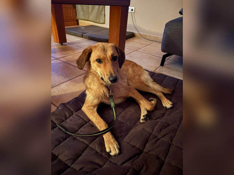 Rihanna - Es hat ihr nichts genützt