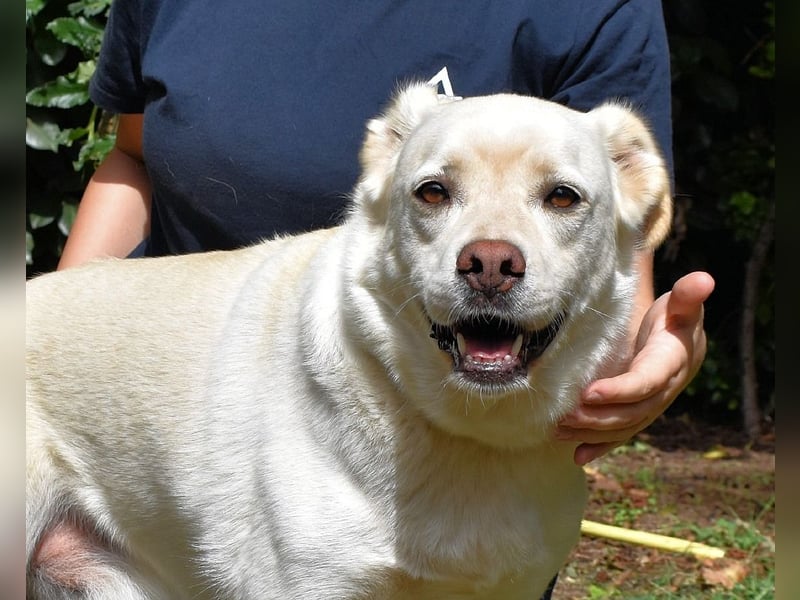 Ulbrecht - Ein kurzer Hauch von Gras