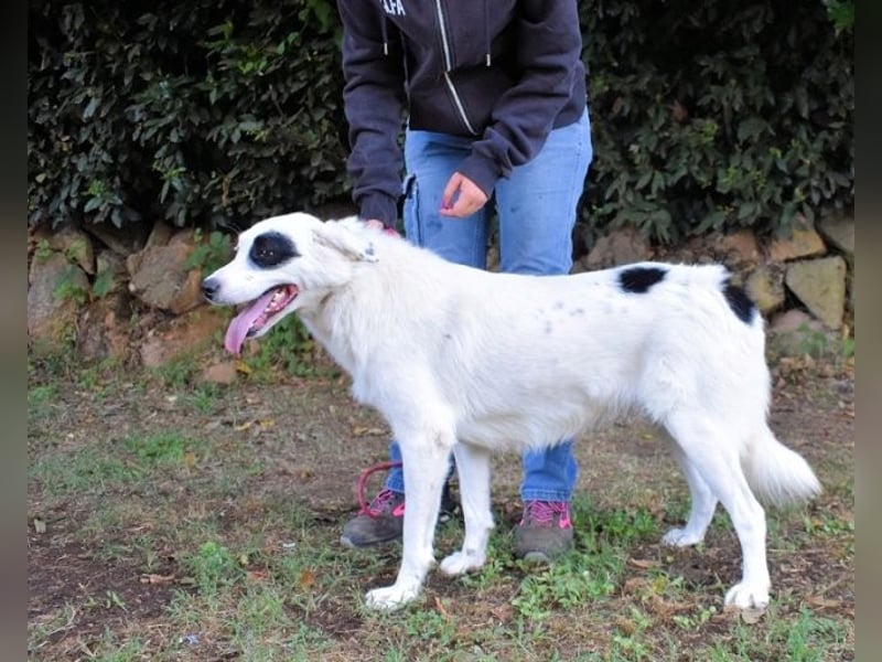 Pattie - Pattie im Vergessen