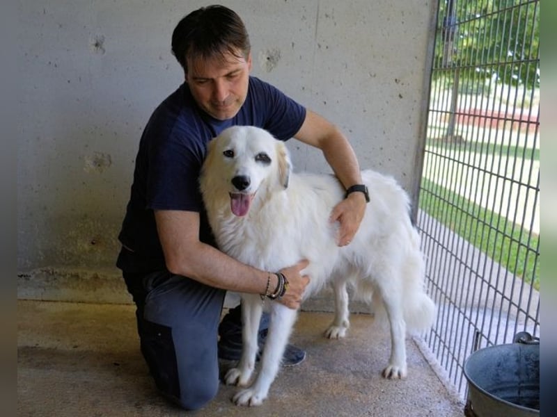 Peeke - Es ist höchste Zeit! Peeke - Es ist höchste Zeit!