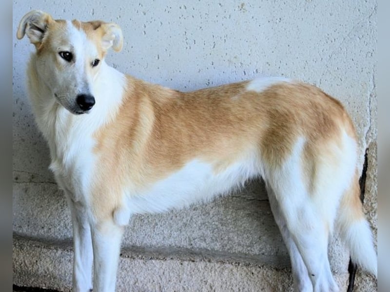 Liuba - sucht ihren Platz im Leben Liuba - sucht ihren Platz im Leben