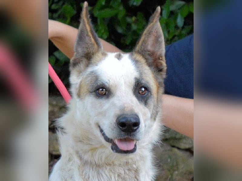 Milde - Ein Flüstern, das sagt: "Du bist sicher."