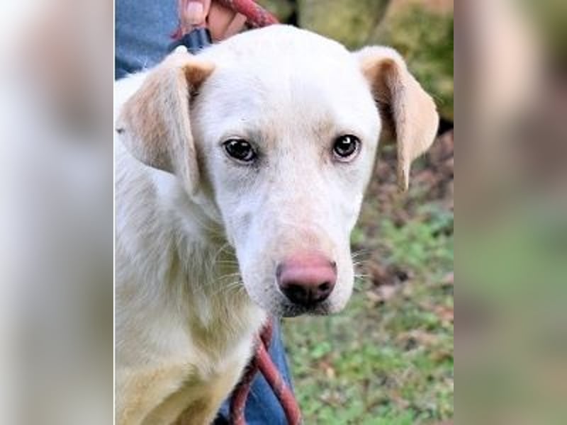 Hadrienne - einmal nur Wärme spüren