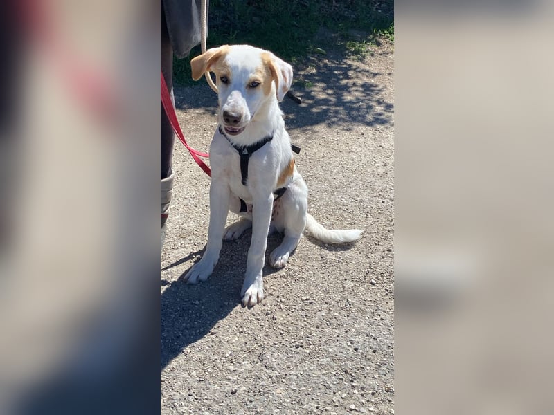 Wafer - Die leise Hoffnung, dass etwas Besseres kommt