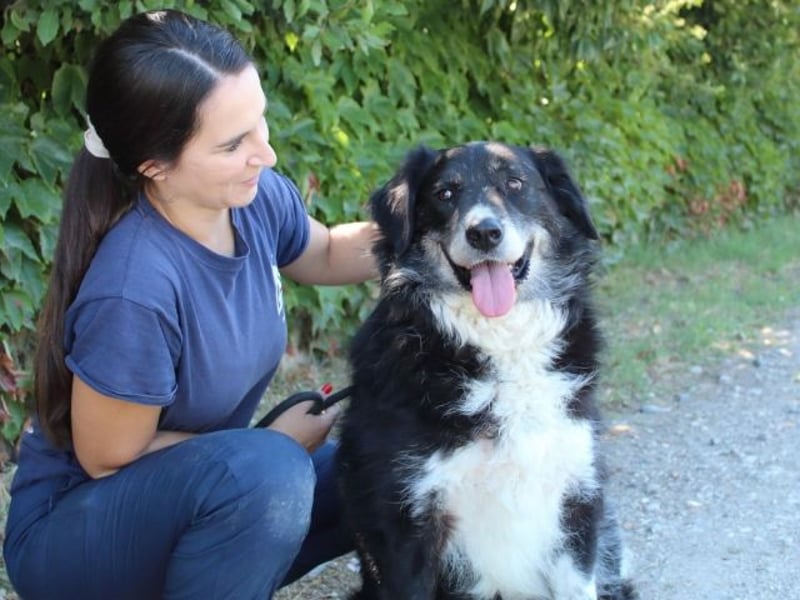 Carmine - Bereit für den Neustart