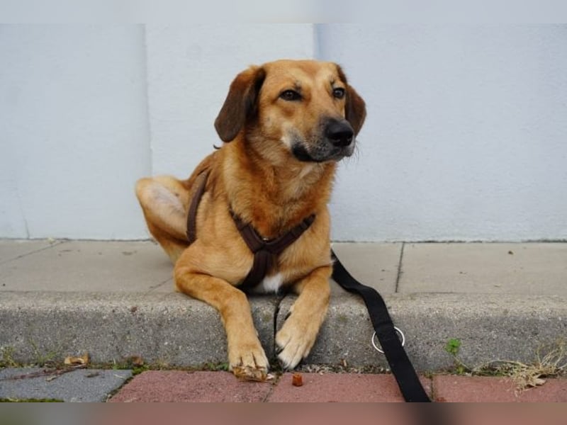 Rihanna - Es hat ihr nichts genützt