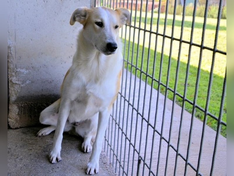 Liuba - sucht ihren Platz im Leben Liuba - sucht ihren Platz im Leben