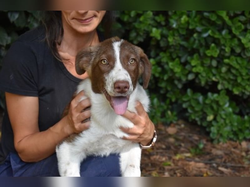 Carissa - Es war ein kalter Abend im späten Herbst ...