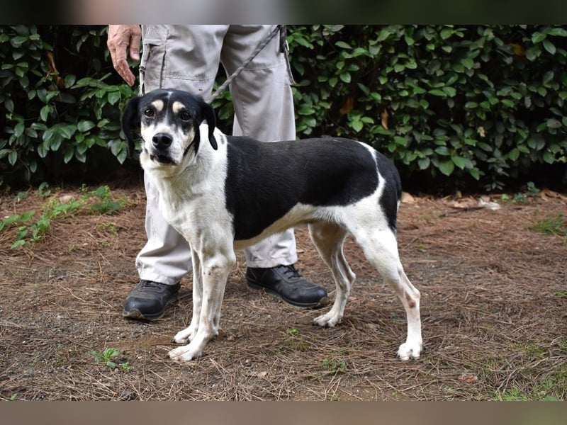 Ericka - NOTFALL - Wie viele Leben brauchst du?