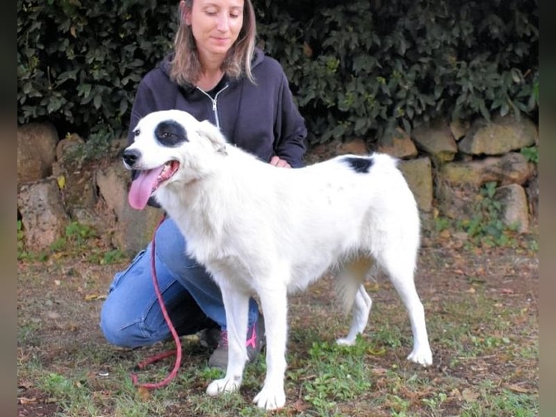 Pattie - Pattie im Vergessen