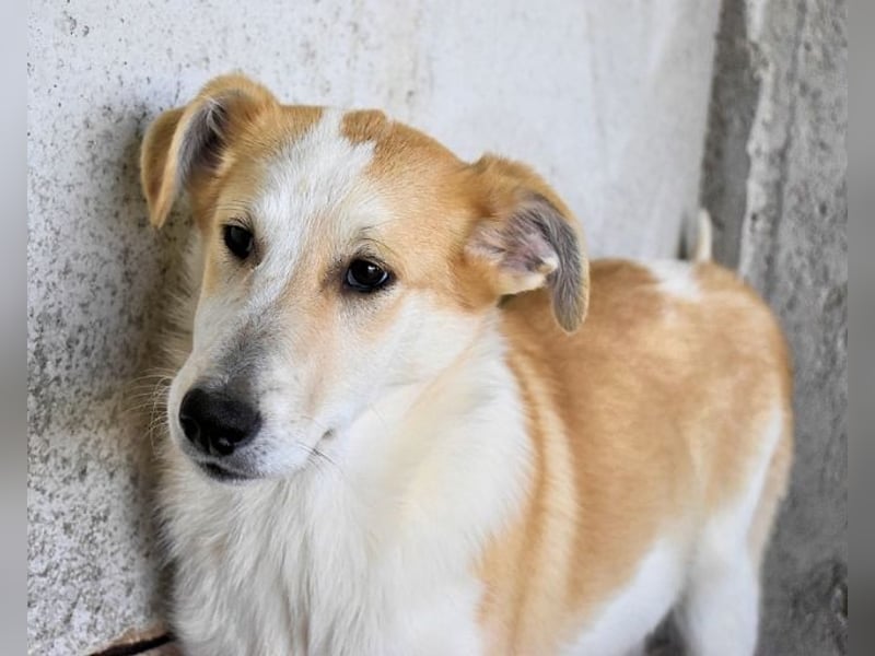 Liuba - sucht ihren Platz im Leben Liuba - sucht ihren Platz im Leben