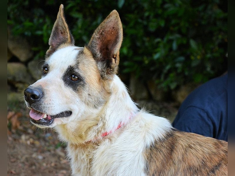 Milde - Ein Flüstern, das sagt: "Du bist sicher."