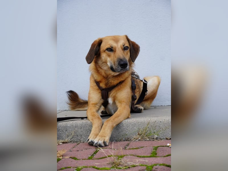 Rihanna - Es hat ihr nichts genützt