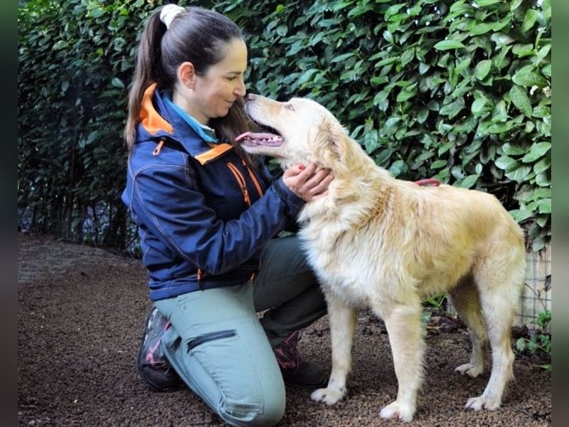 Rodman - läuft sich die Seele wund Rodman - läuft sich die Seele wund