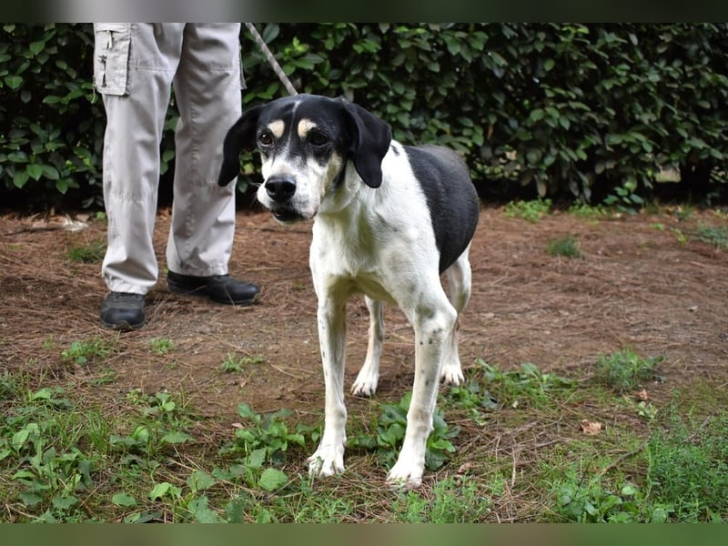 Ericka - NOTFALL - Wie viele Leben brauchst du?