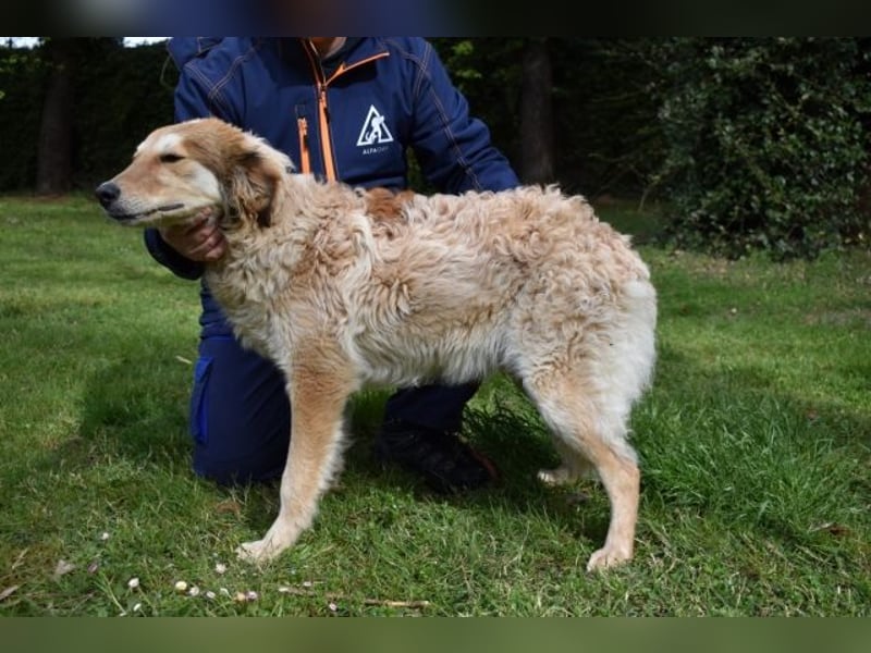 Ligorio und seine Geschwister sind gewachsen