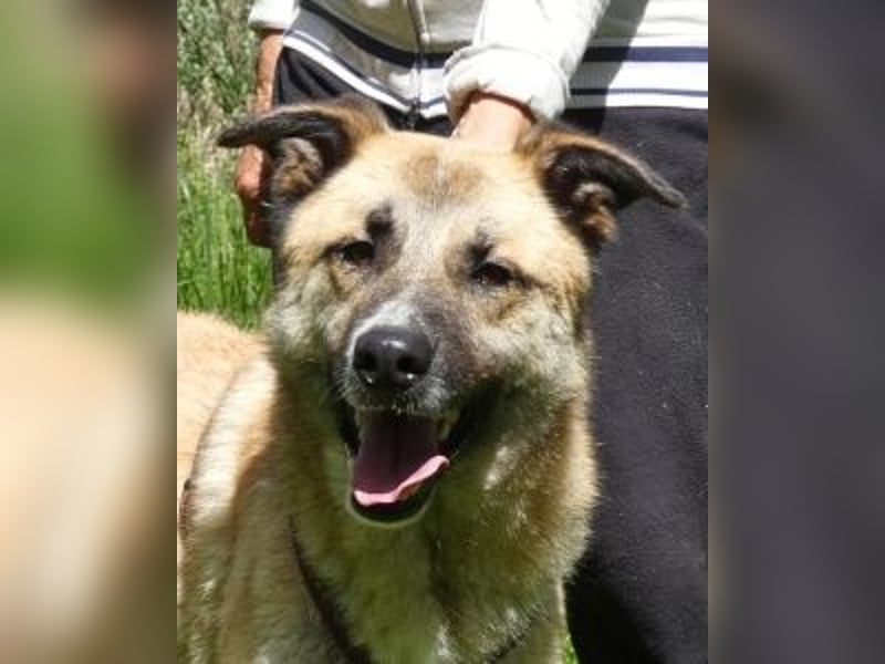 Life - Life will mehr vom Leben - und das zeigt er deutlich!