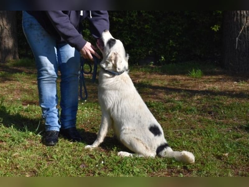 Pattie - Pattie im Vergessen