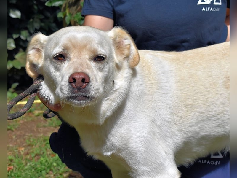 Ulbrecht - Ein kurzer Hauch von Gras