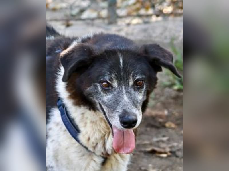 Cambiamento - lasst uns sein Leben verändern