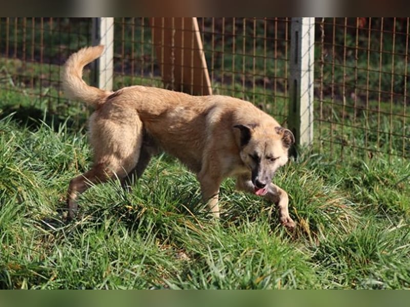 Life - Life will mehr vom Leben - und das zeigt er deutlich!